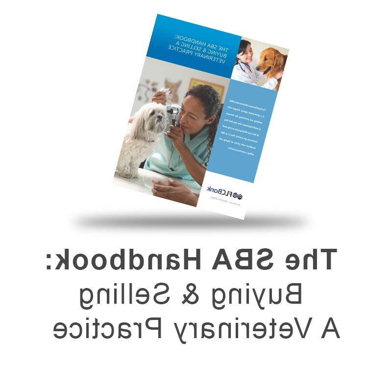 SBA手册:购买 & 出售兽医实践电子书下载